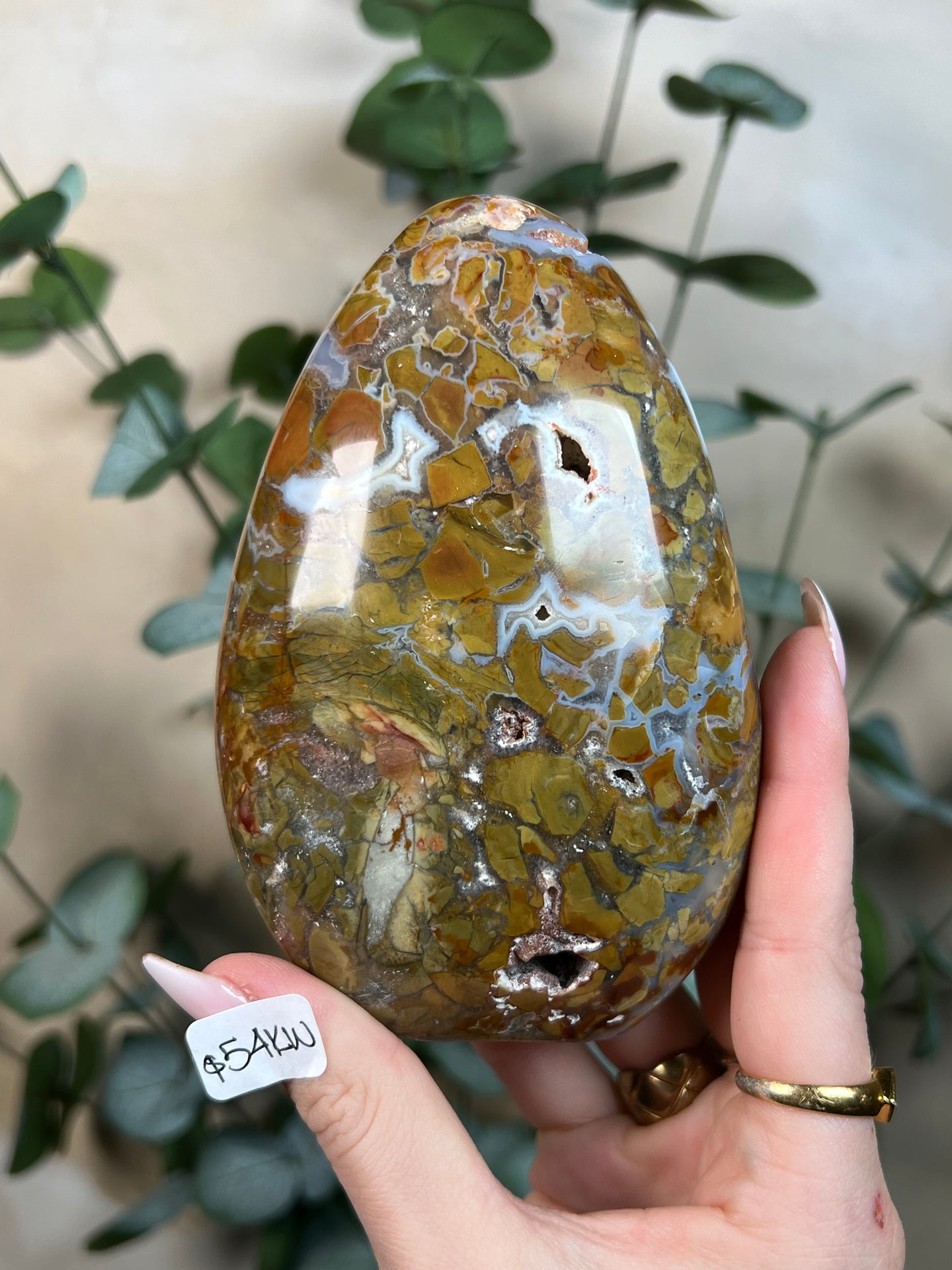Cosmic & Sea Jasper Freeforms (49KL, 54KW, 61KK)
